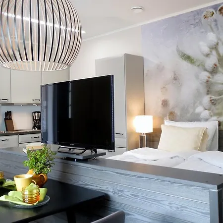 Hotell Hiisi Hill Jämsä